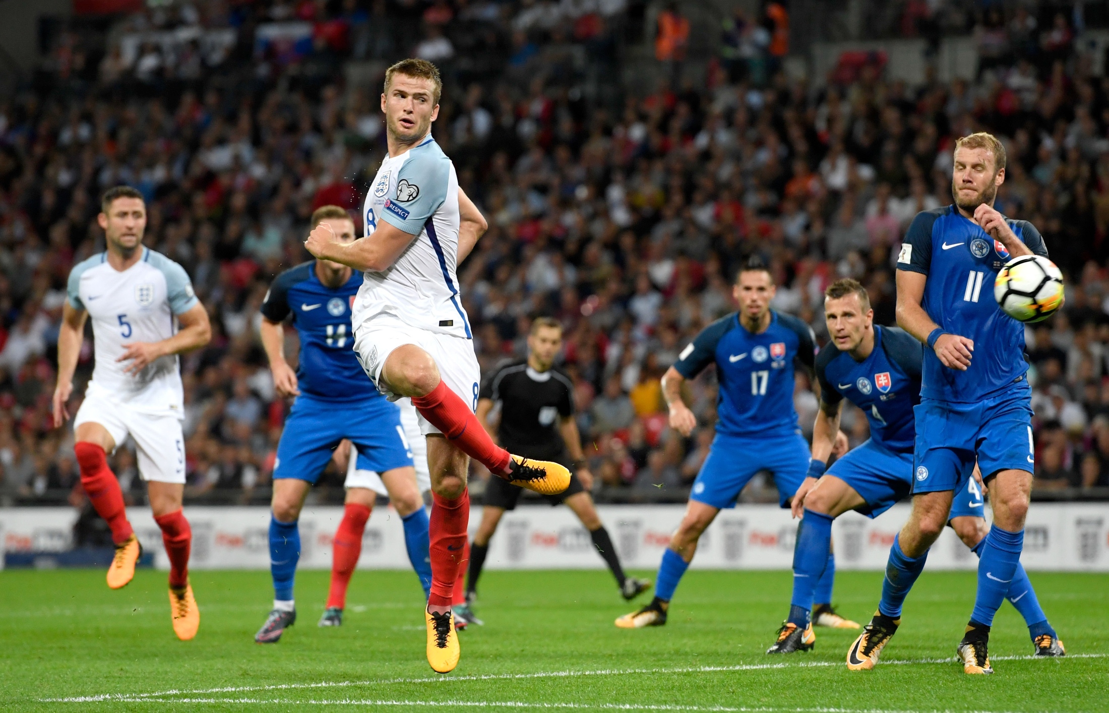 赛的一大亮 赛的一大亮