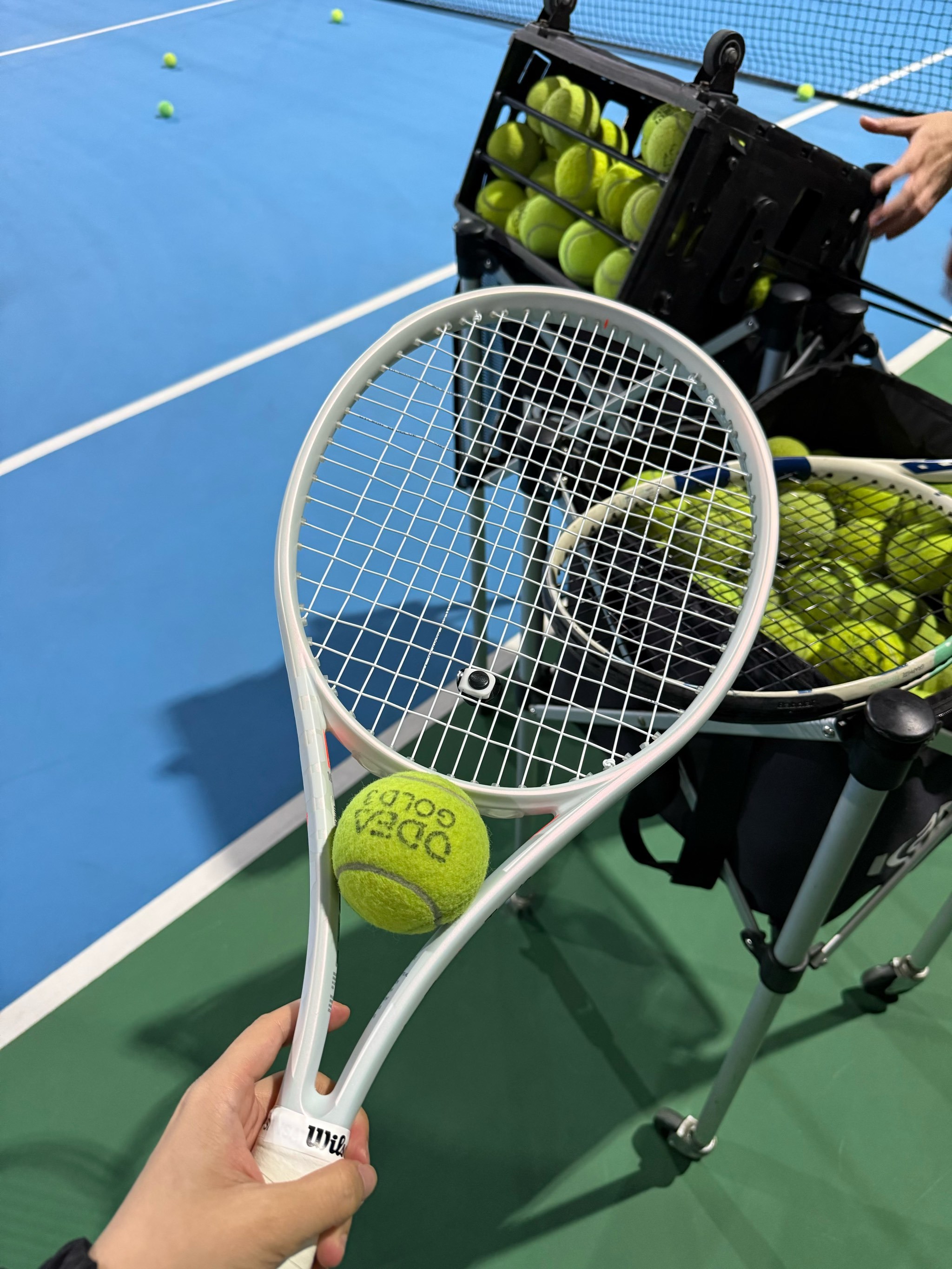 在体育竞技 在体育竞技